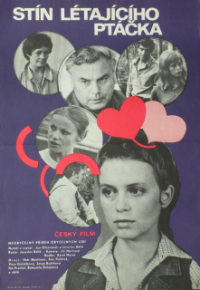 Stín létajícího ptáčka (filmový plakát)