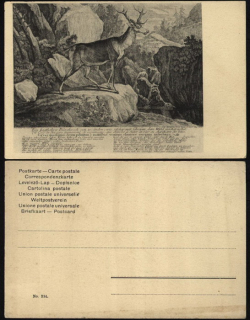 Myslivecká pohlednice (dle staré rytiny)