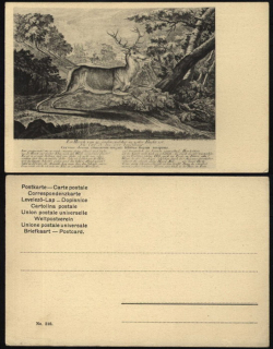 Myslivecká pohlednice (dle staré rytiny)