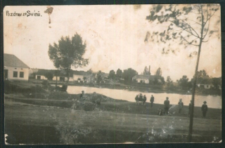 Sviny