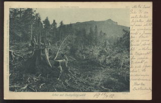 Arber mit Hochgebirgswald