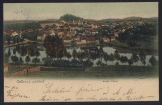 Mladá Vožice. Celkový pohled