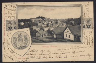 Mladá Vožice. Celkový pohled