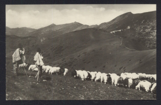 Pasáci ovcí, Nízké Tatry, Ďumbier a Chopok