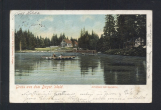 Bayer Wald