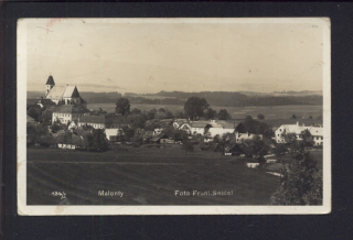 Malonty