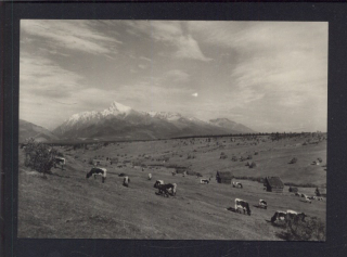 Vysoké Tatry. Kriváň