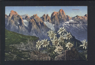 Innsbruck. Edelweiss