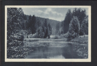 Ústí nad Orlicí. Rybník