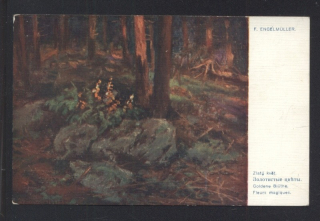 F. Engelmüller - Zlatý květ