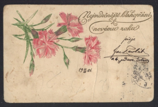 Nejsrdečnější blahopřání k Novému roku 1901