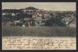 Mladá Vožice
