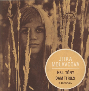 Jitka Molavcová - Hej, Tóny / Dám ti růži