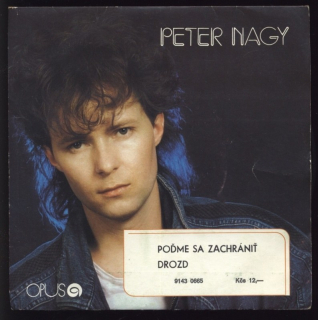 Peter Nagy - Poďme sa zachrániť / Drozd