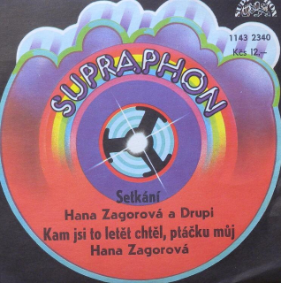 Hana Zagorová - Kam jsi to chtěl letěl ptáčku můj / Hana Zagorová  a  Drupi - Setkání