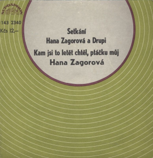 Hana Zagorová - Kam jsi to chtěl letěl ptáčku můj / Hana Zagorová  a  Drupi - Setkání