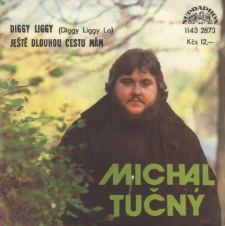 Michal Tučný - Diggy Liggy / Ještě dlouhou cestu mám