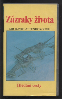 Zázraky života: Hledání cesty (VHS)