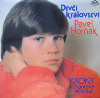 Pavel Horňák  a  Kroky Františka Janečka - Dívčí království (LP)
