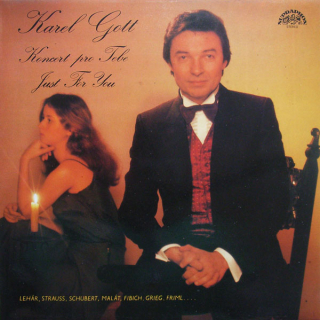 Karel Gott - Koncert pro tebe / Just For You (LP)