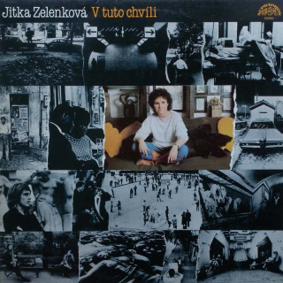 Jitka Zelenková - V tuto chvíli (LP)