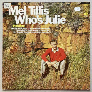 Mel Tillis - Who's Julie (LP)
