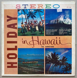 The Hawaiians - Holiday In Hawaii (LP)