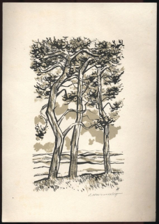 Stanislav Hlinovský (litografie)