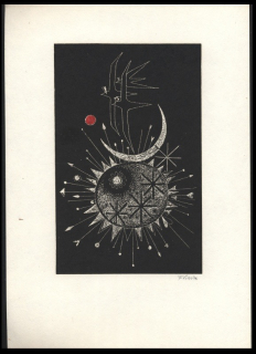 František Peterka (1920 - 2007) - Ptáci - (litografie)