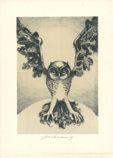 Jan Kavan (1947) - Sova (litografie)