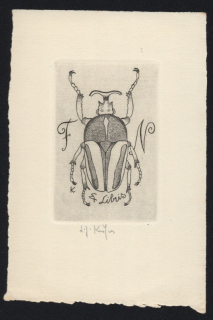 Ladislav Josef Kašpar (1915 - 1997) - Exlibris F N (lept)