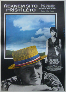 Řeknem si to příští léto (filmový plakát)