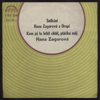 Hana Zagorová - Setkání / Kam jsi to letěl, ptáčku můj (SP)