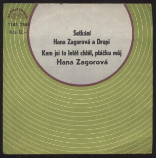 Hana Zagorová, Drupi - Setkání / Kam jsi letět chtěl, ptáčku (SP)