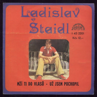 Ladilsav Štaidl - Mží ti do vlasů / Už jsem pochopil (SP)