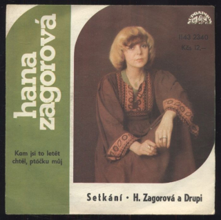 Hana Zagorová, Drupi - Kam jsi to letět chtěl, ptáčku můj / Setkání (SP)