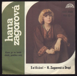 Hana Zagorová, Drupi - Kam jsi to letět chtěl, ptáčku můj / Setkání (SP)