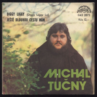 Michal Tučný - Diggy Liggy / Ještě dlouhou cestu mám