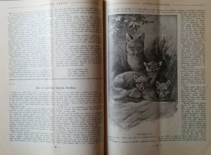 Lovecký obzor 1930. Časopis věnovaný myslivecké vědě a praxi (kompletní 28. ročník, vázáno)