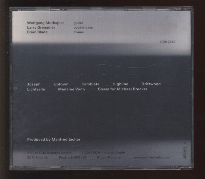 Wolfgang Muthspiel; Larry Grenadier; Brian Blade - Driftwood (CD)