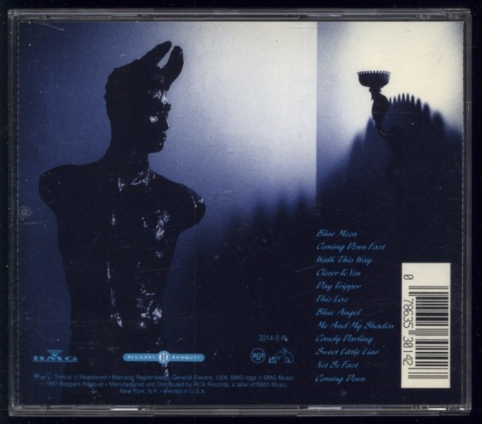 Daniel Ash - Coming Down (CD)