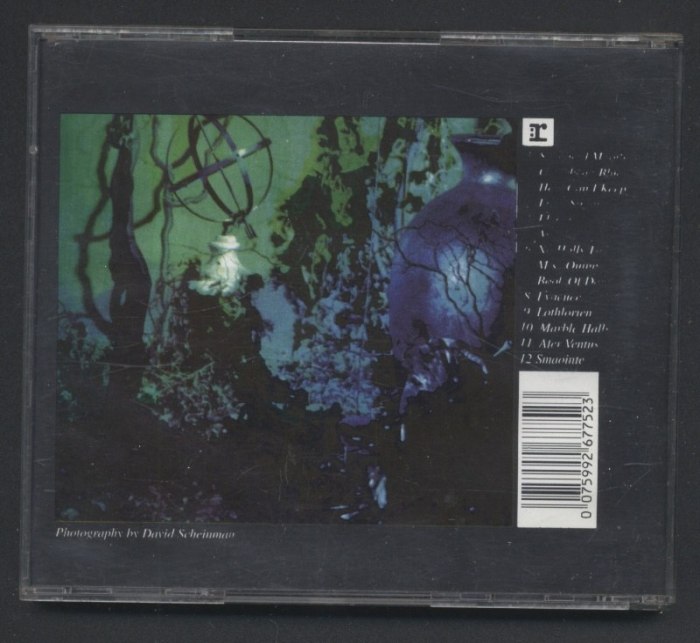 Enya - Shepherd Moons (CD)