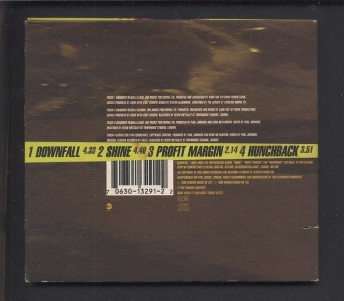 Send No Flowers  - Downfall (CD-single)
