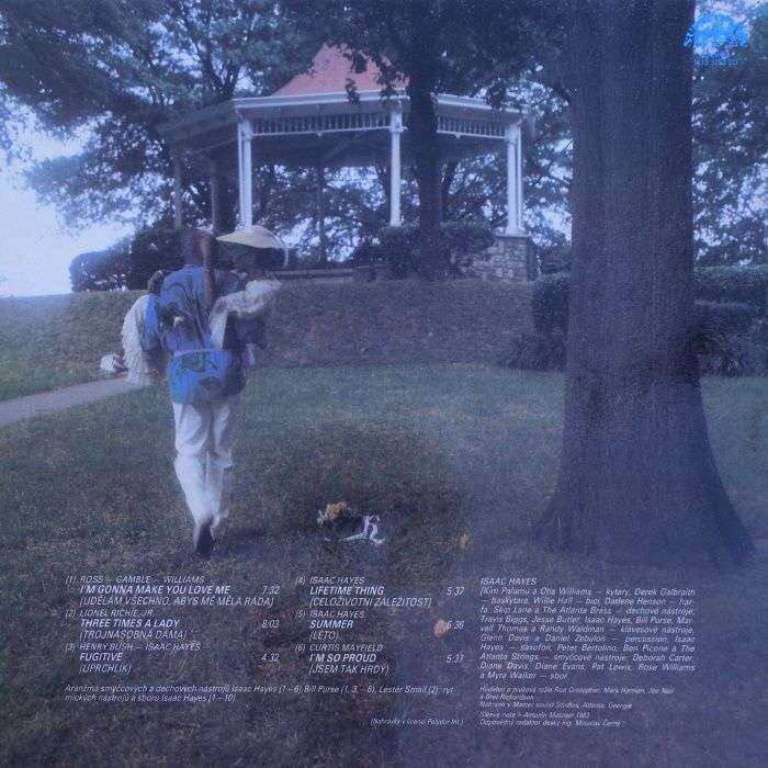 Isaac Hayes - Lifetime Thing (LP)