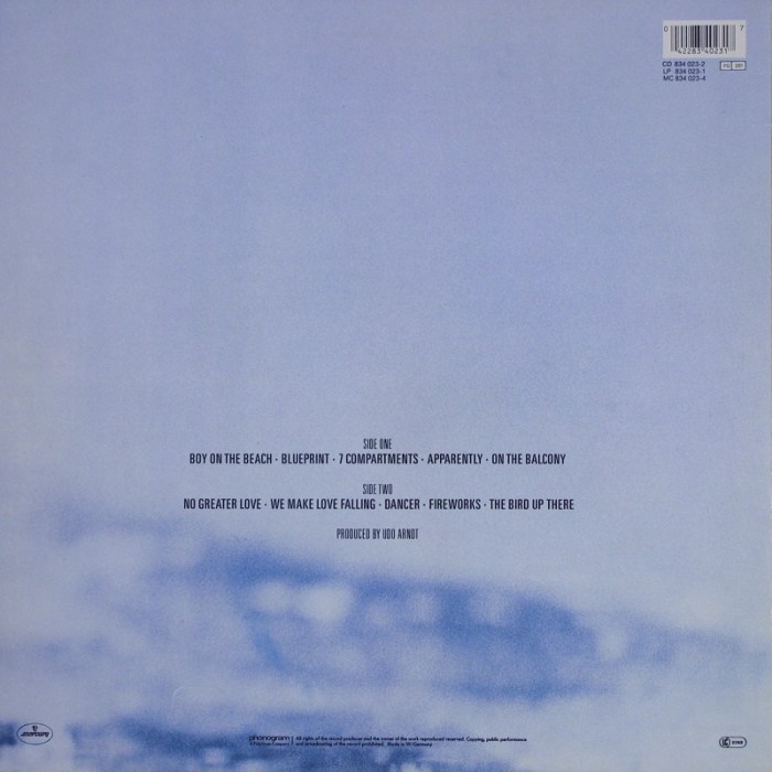 Rainbirds - Rainbirds (LP)