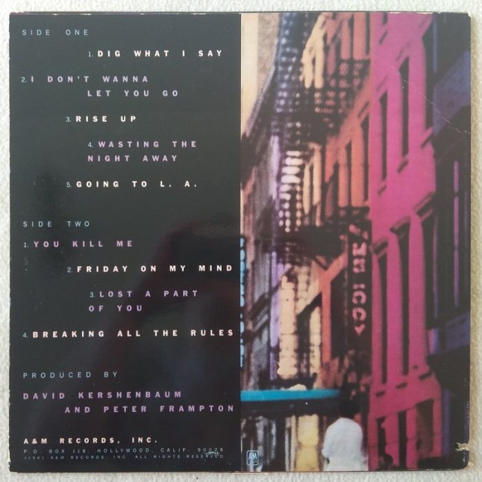 Peter Frampton - Breaking All The Rules (LP)