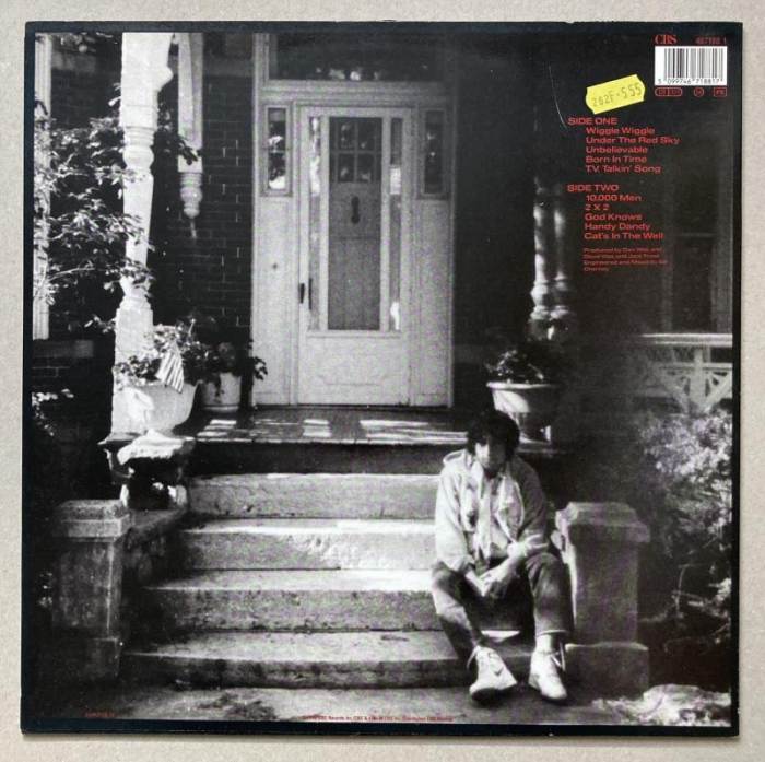 Bob Dylan - Under The Red Sky (LP)