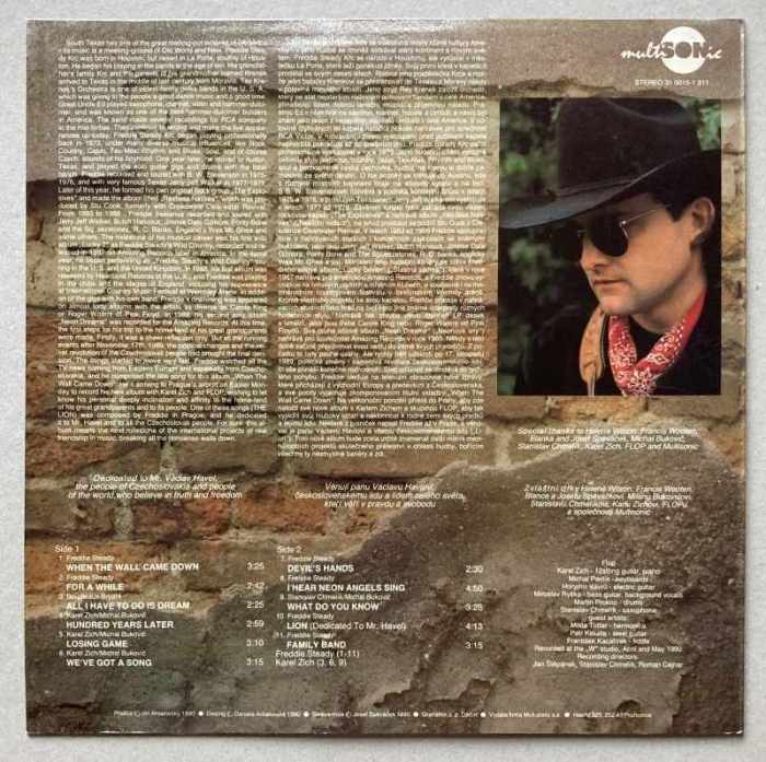 Freddie Steady - When The Wall Came Down (LP)
