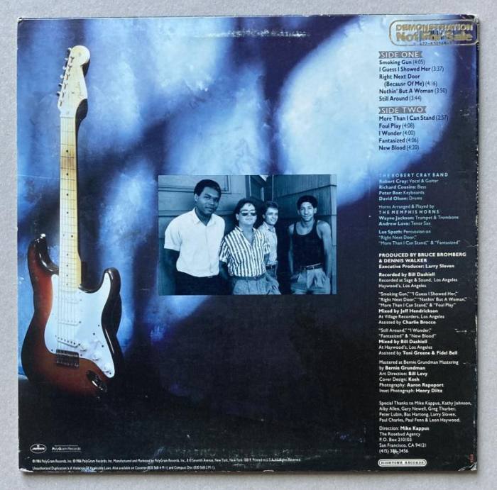Robert Cray - Strong Persuader (LP)