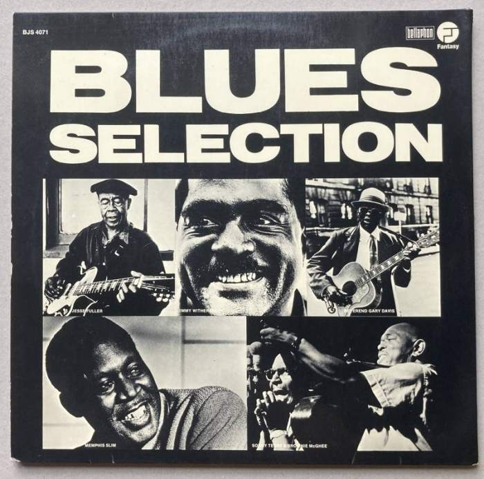 Various - Blues Selection (2LP)